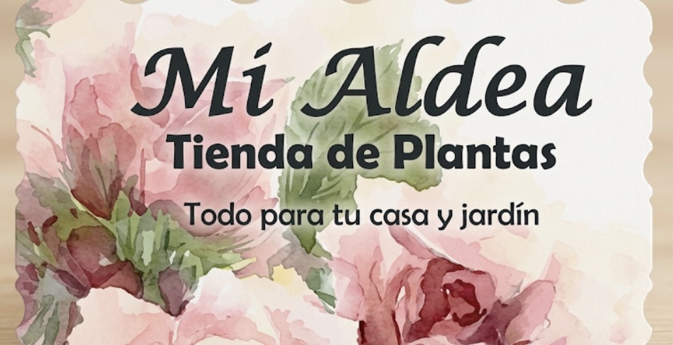 Mi Aldea